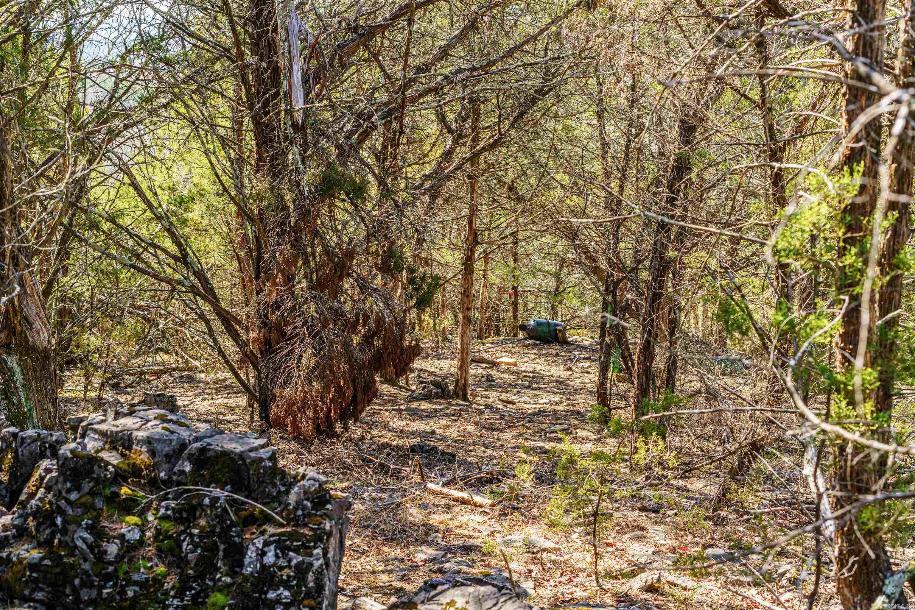 Not in Subdivision - Land