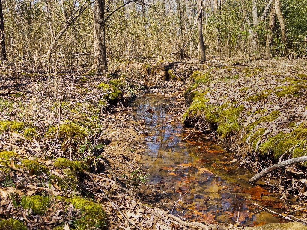 Ridge Point - Residential