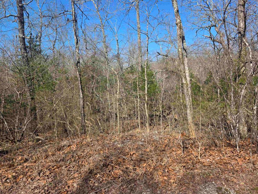 Wonderful and wooded lot in the heart of Cherokee Village. Secluded and away from it all. But close to a main road for quick exits from the Village for shopping, dining and entertainment. Lots of trees and lots of wildlife as well as a wet weather creek at the very back of the lot. Buy this lot and pick your spot to build your dream home or just a getaway cabin. With ownership of this lot, you will have access to all the amenities of Cherokee Village such as the 7 lakes and Two 18-hole golf courses also the Thunderbird Center and swimming pool, mini golf, parks, hiking trails and don't forget about the beautiful Southfork River for fishing, kayaking or just floating down to wet your toes. This is a wonderful lot to purchase and plan for your future home. Call to purchase this one. This lot can be purchased in a package deal with 4 other lots. All side by side. That's 5 lots in total for great seclusion and privacy.