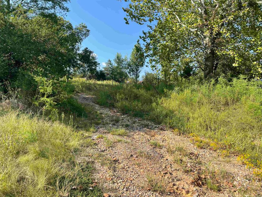 1 acre on Hwy 70, includes electric, water, and septic. Ready for your home! More acreage and a home available. See MLS #  23026227