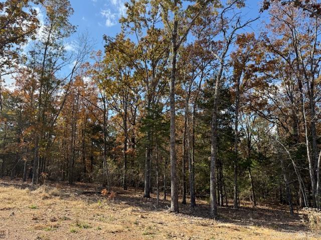 SUMMERLYN SUBDIVISION - Land