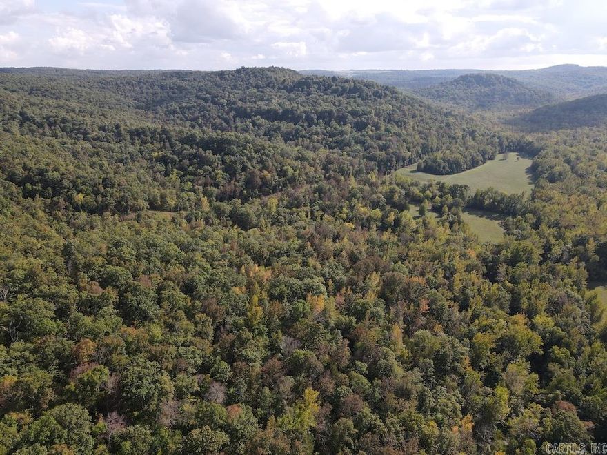 This prime Ozark property is tucked in the pristine mountains between Compton, AR, and Ponca, AR. The headwaters of the famous Buffalo National River are just a few minutes south. It just rarely comes together for a property to check every box an outdoor enthusiast, farmer, hunter, homesteader, or investor would have. This ideal location puts you in the heart of some of the most coveted parts of this region. This unique topographical configuration bodes well for about any use. It has everything from rock formations to large hardwood-covered ridges, from lush creek bottoms to deep and gnarly ravines. Making your way through the recently revamped, excellent, deeded easement road, you cascade in from the top of the mountain through the dense timber. Numerous small trail offshoots have been cleaned up for easy access to ample build sites, hiking locations, hunting set-ups, and more. The impressive stand of marketable White Oak will leave you in awe as it covers a majority of the hillsides, blanketing this beautiful tract. In the middle of the property is a wonderful pasture consisting of native grasses, fescue, Bermuda, and more.