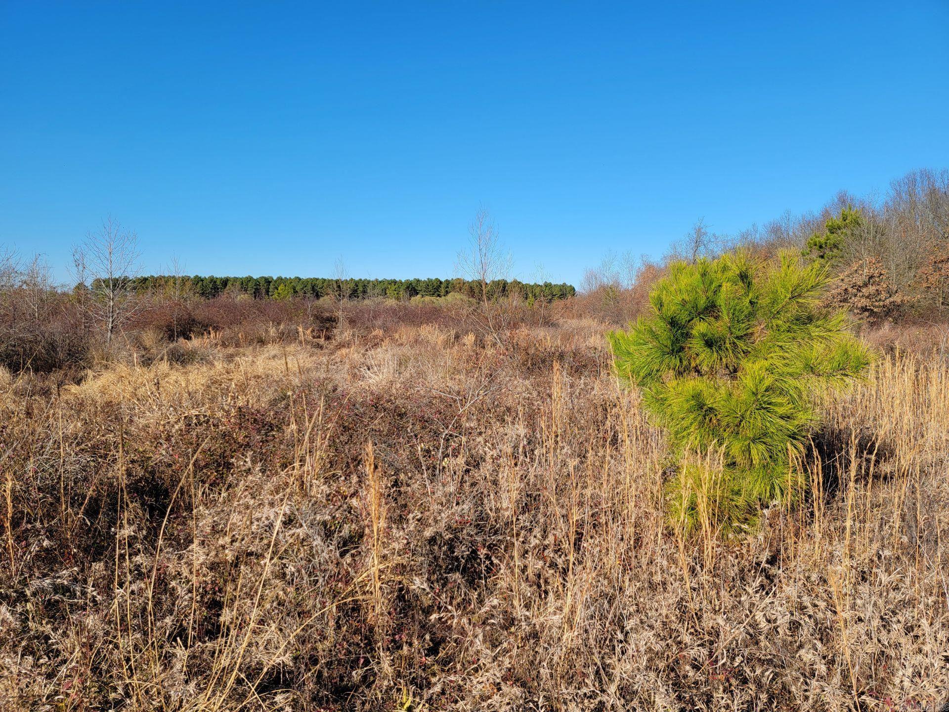 One of the last remaining lots in "The Breezes at Gum Springs" 4.95 acres off a paved road with utilities in place. Beautiful spot to build