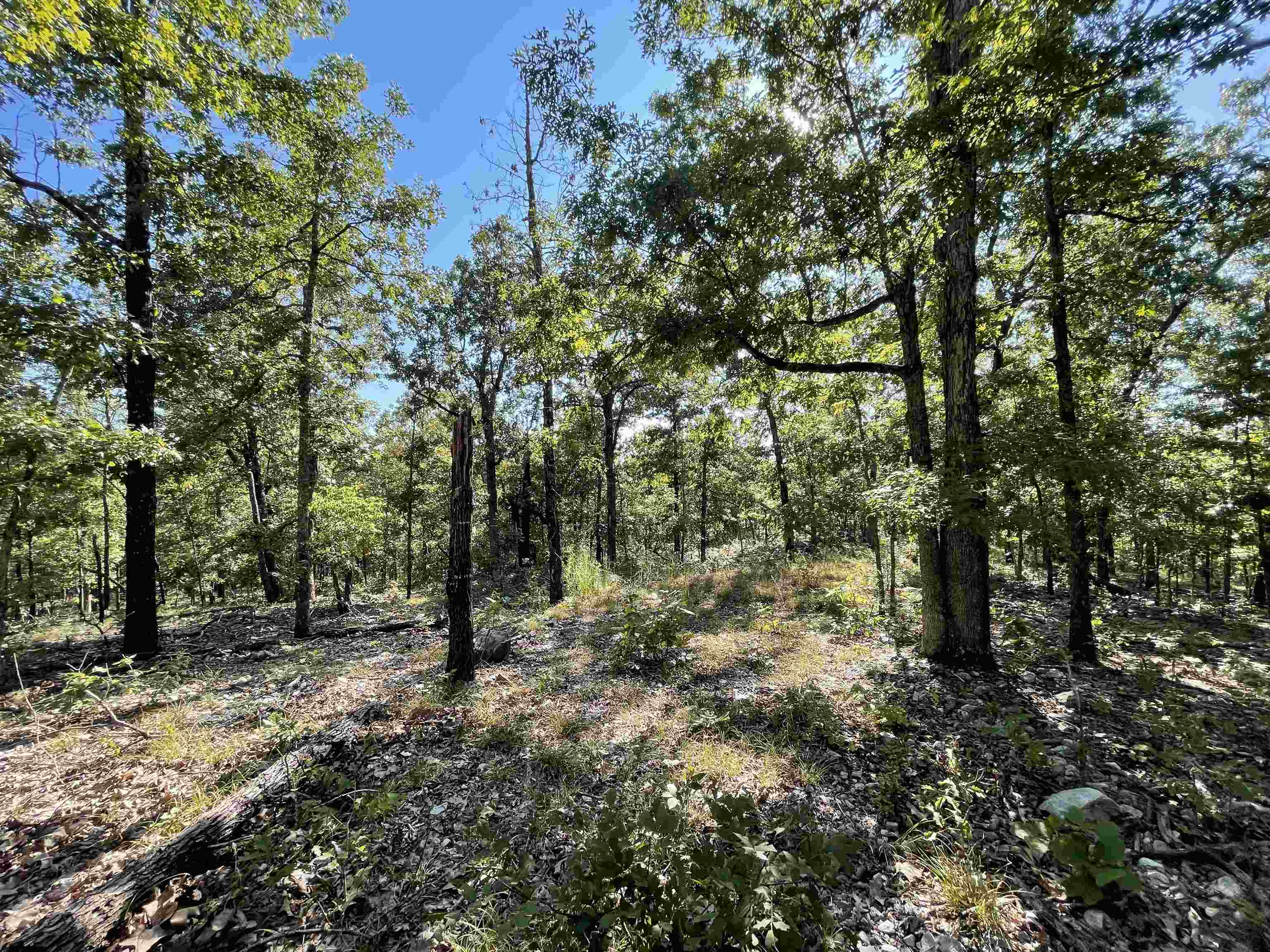 Metes & Bounds - Land