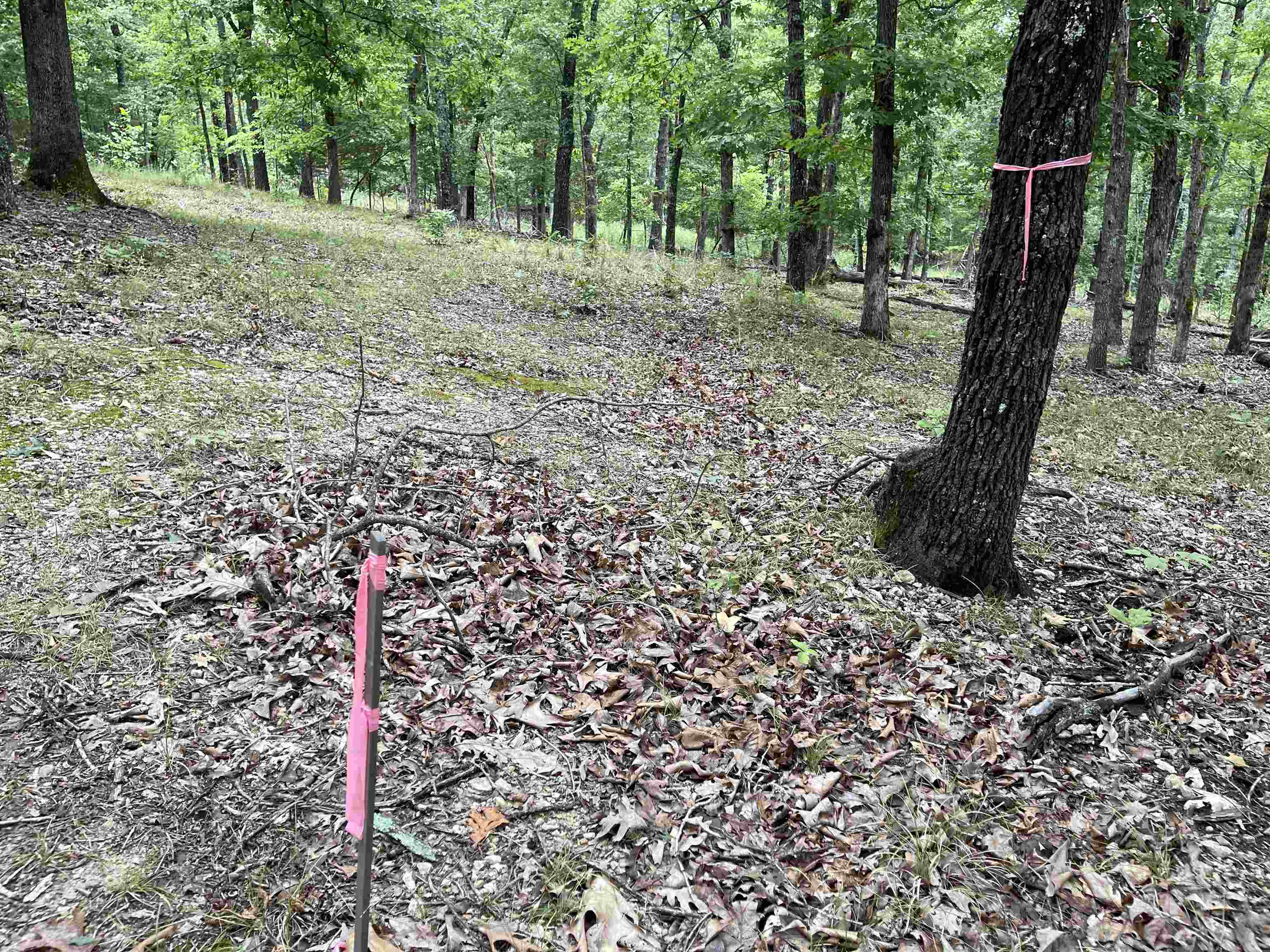 Metes & Bounds - Land