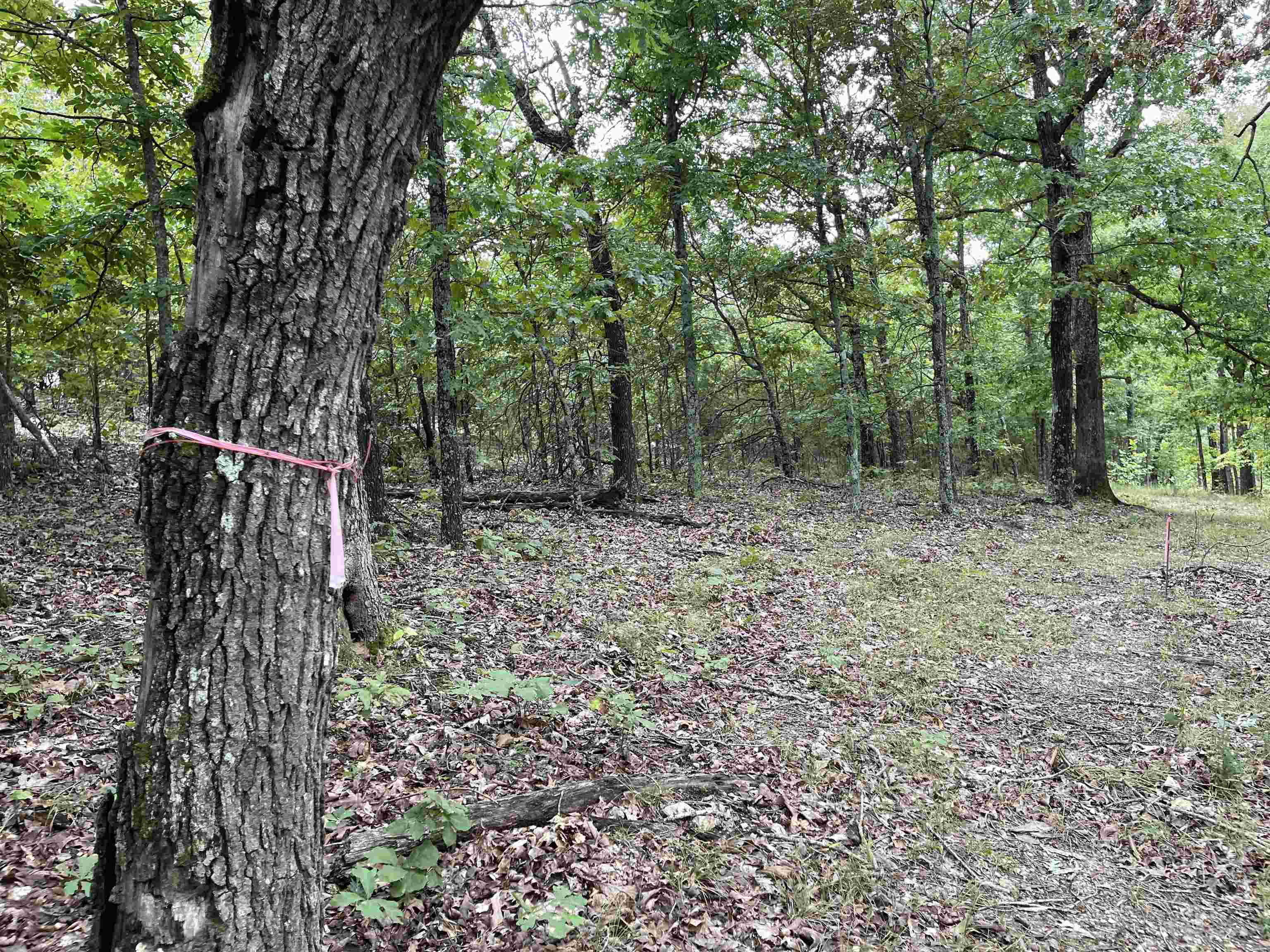 Metes & Bounds - Land