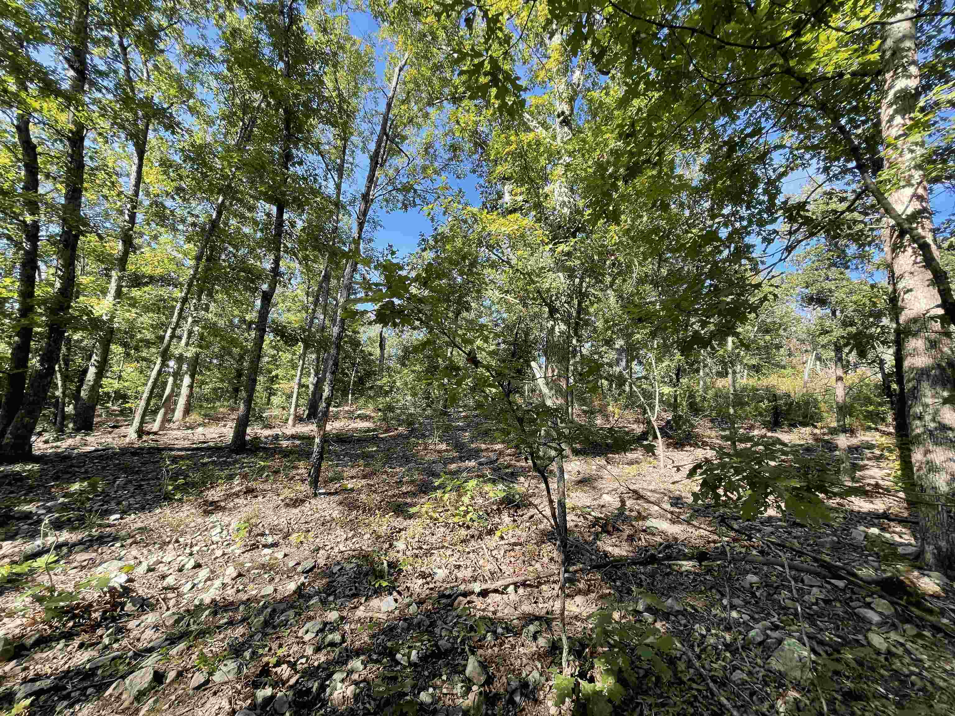 Metes & Bounds - Land