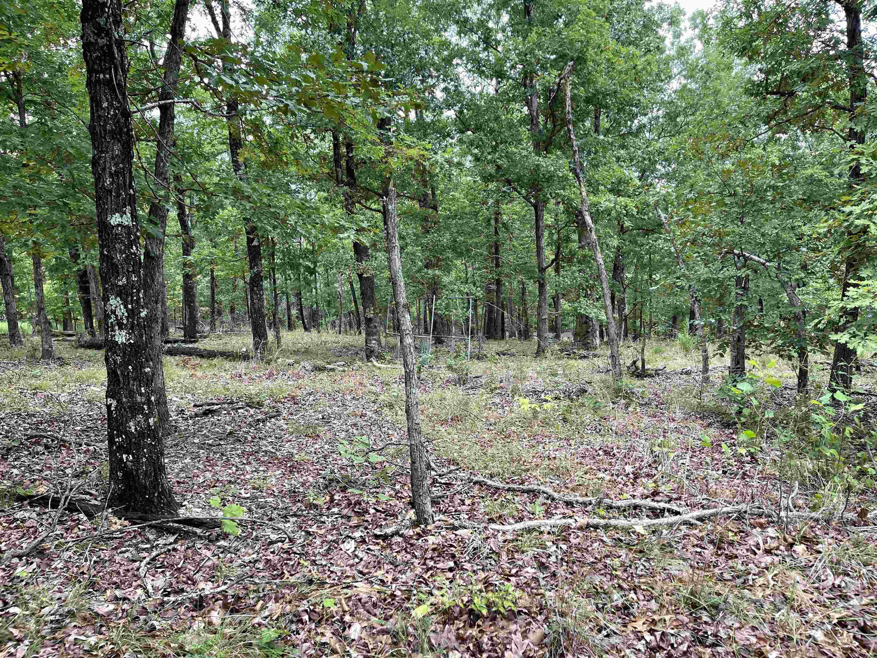 Metes & Bounds - Land