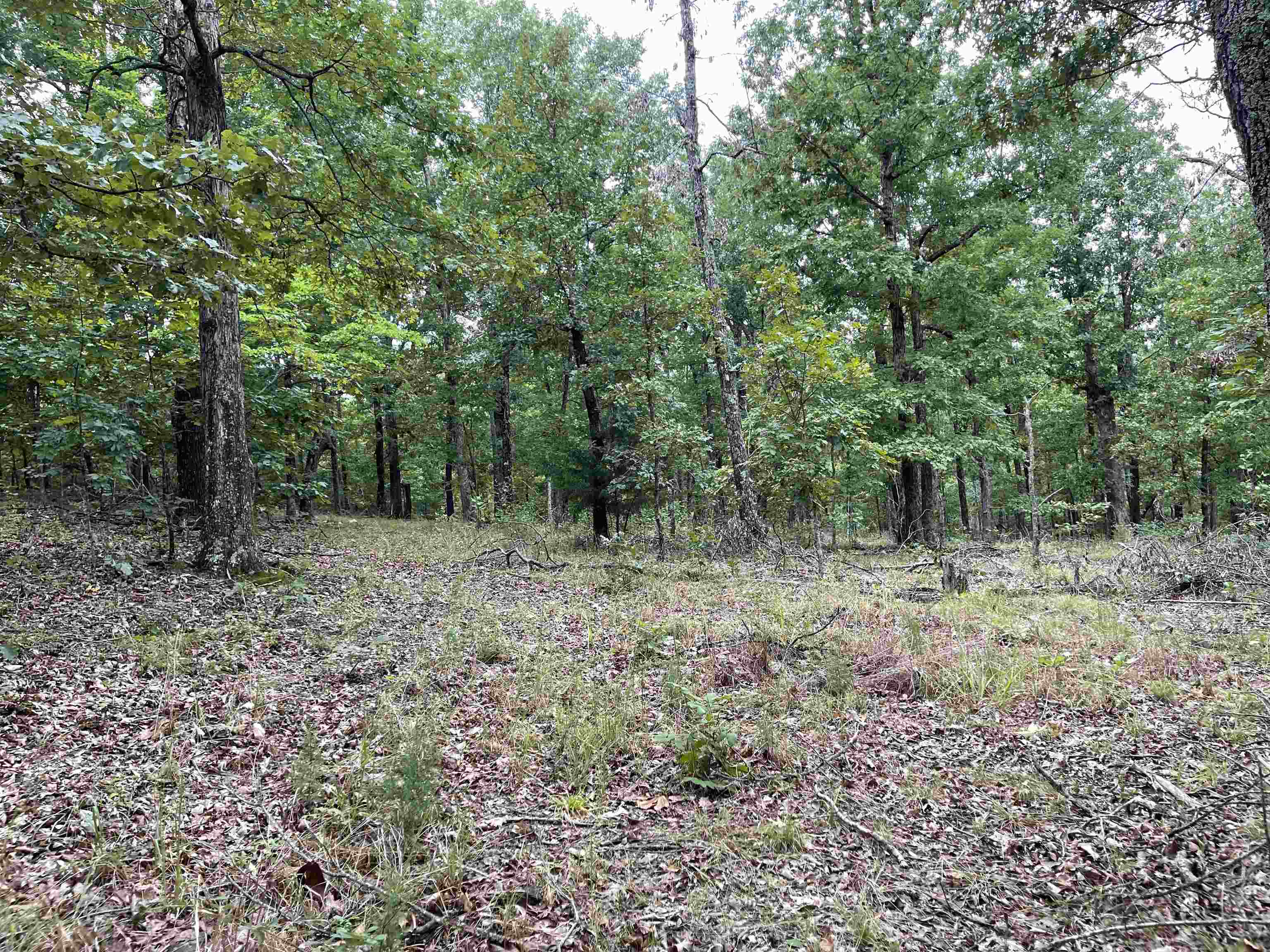 Metes & Bounds - Land