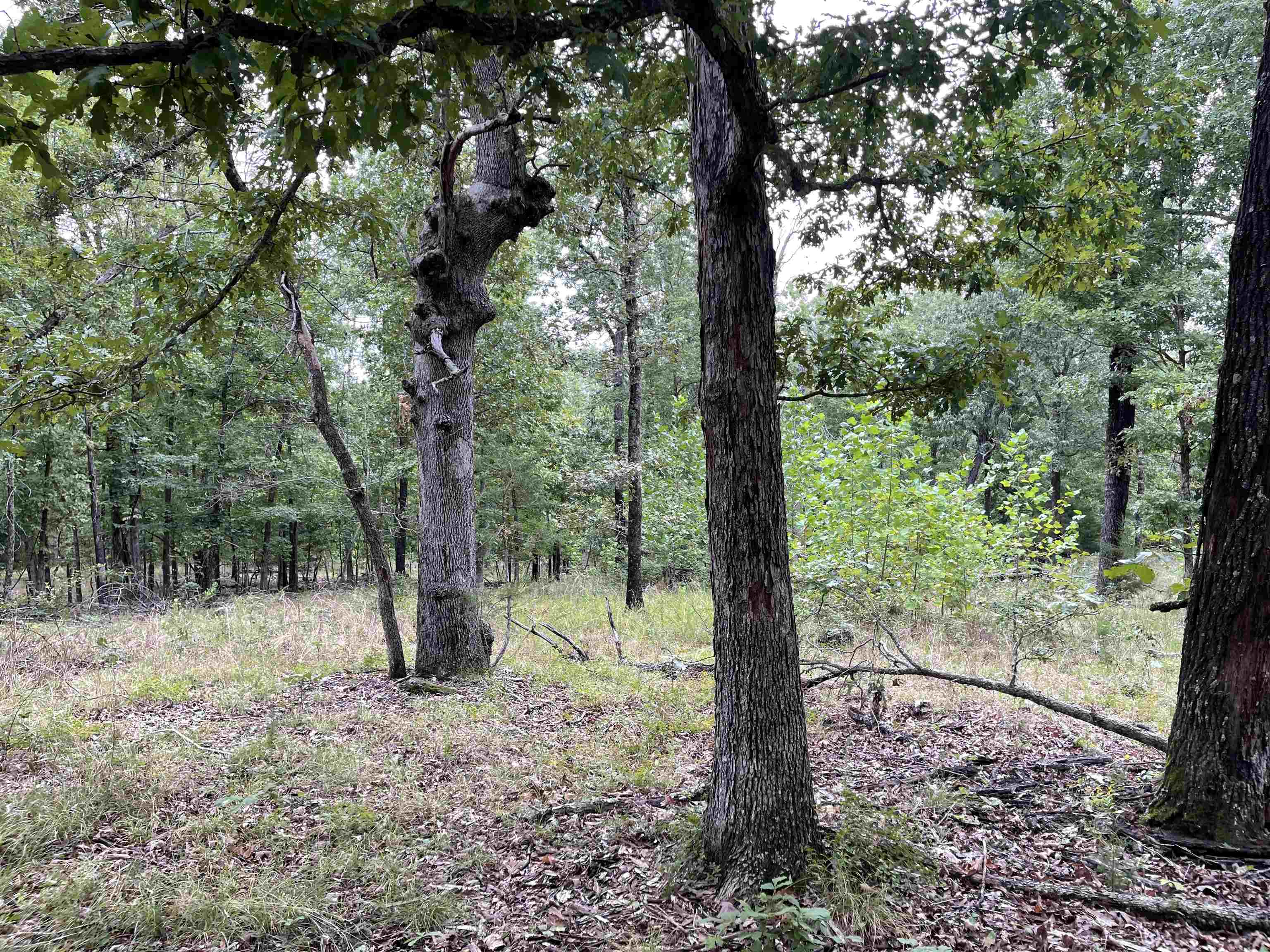 Metes & Bounds - Land