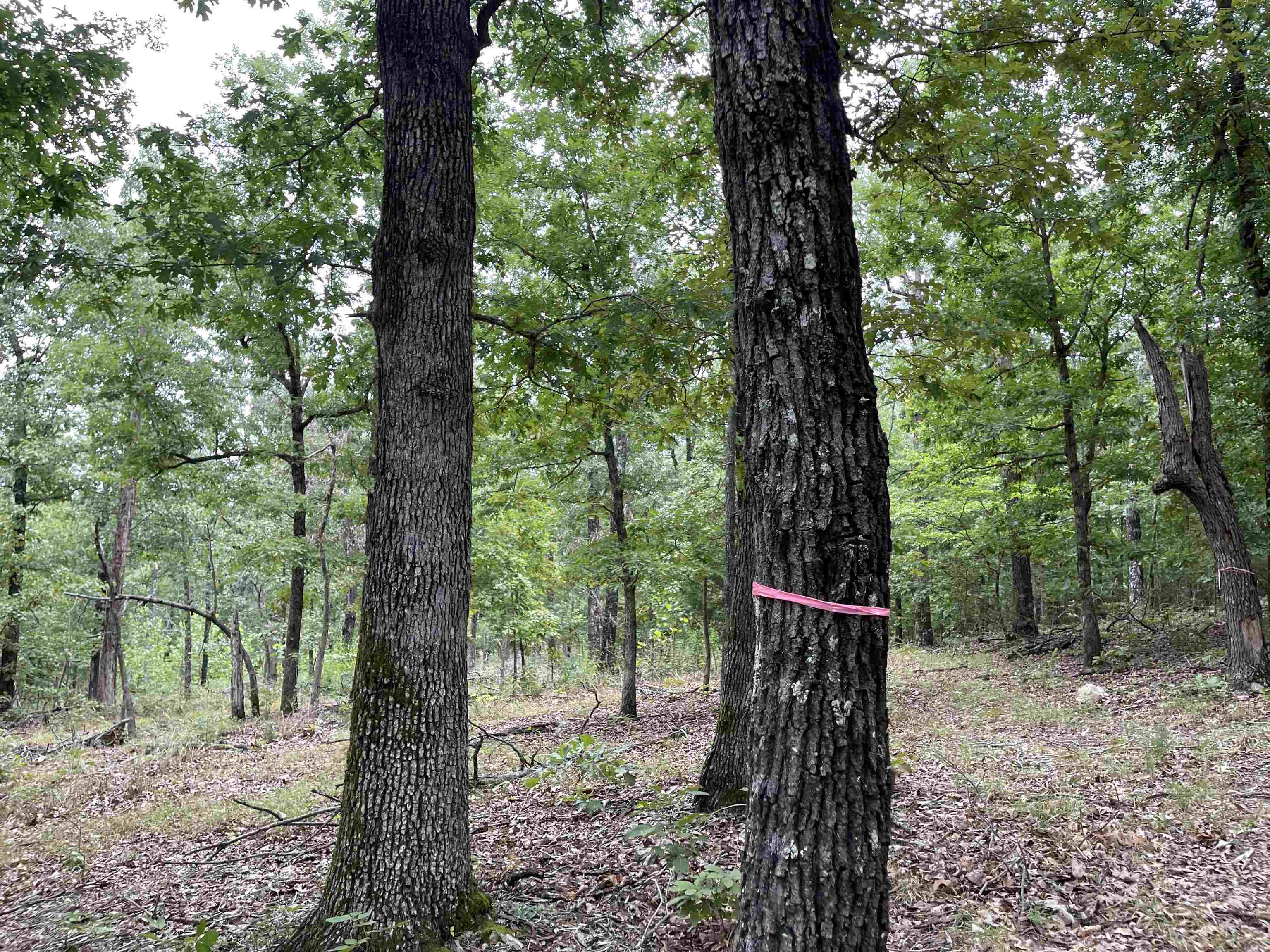 Metes & Bounds - Land