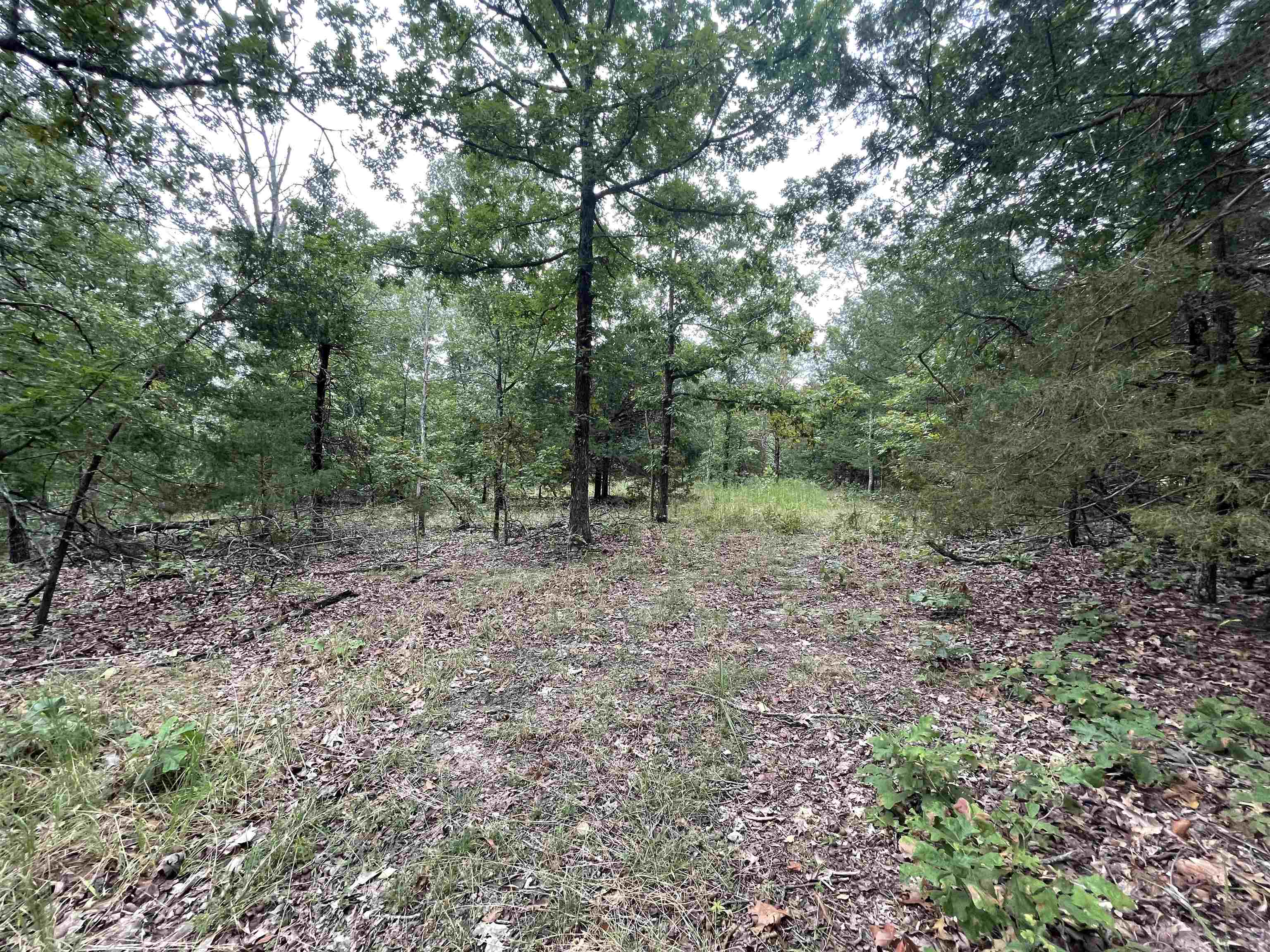 Metes & Bounds - Land