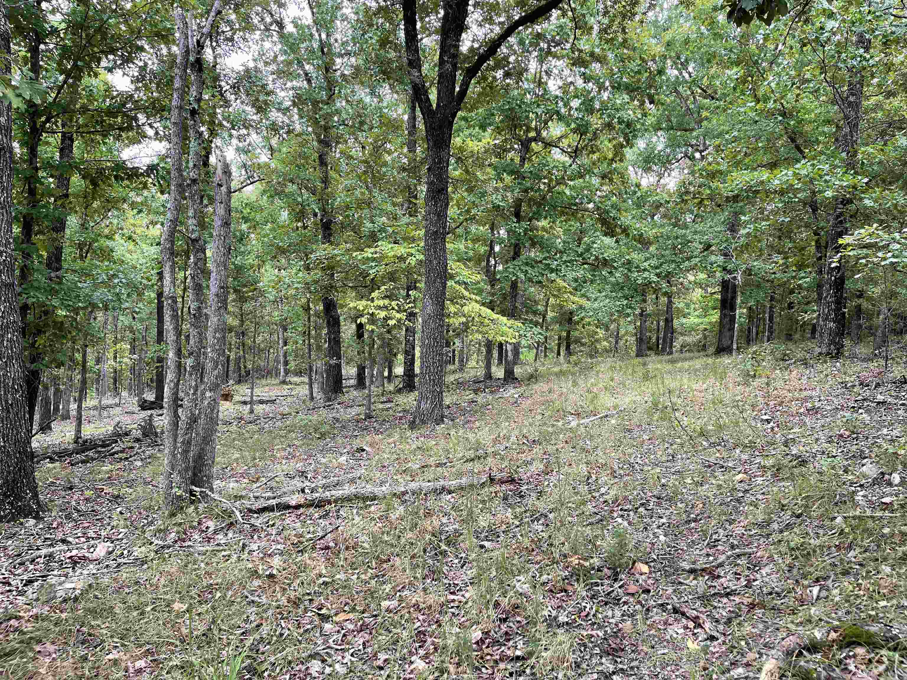 Metes & Bounds - Land