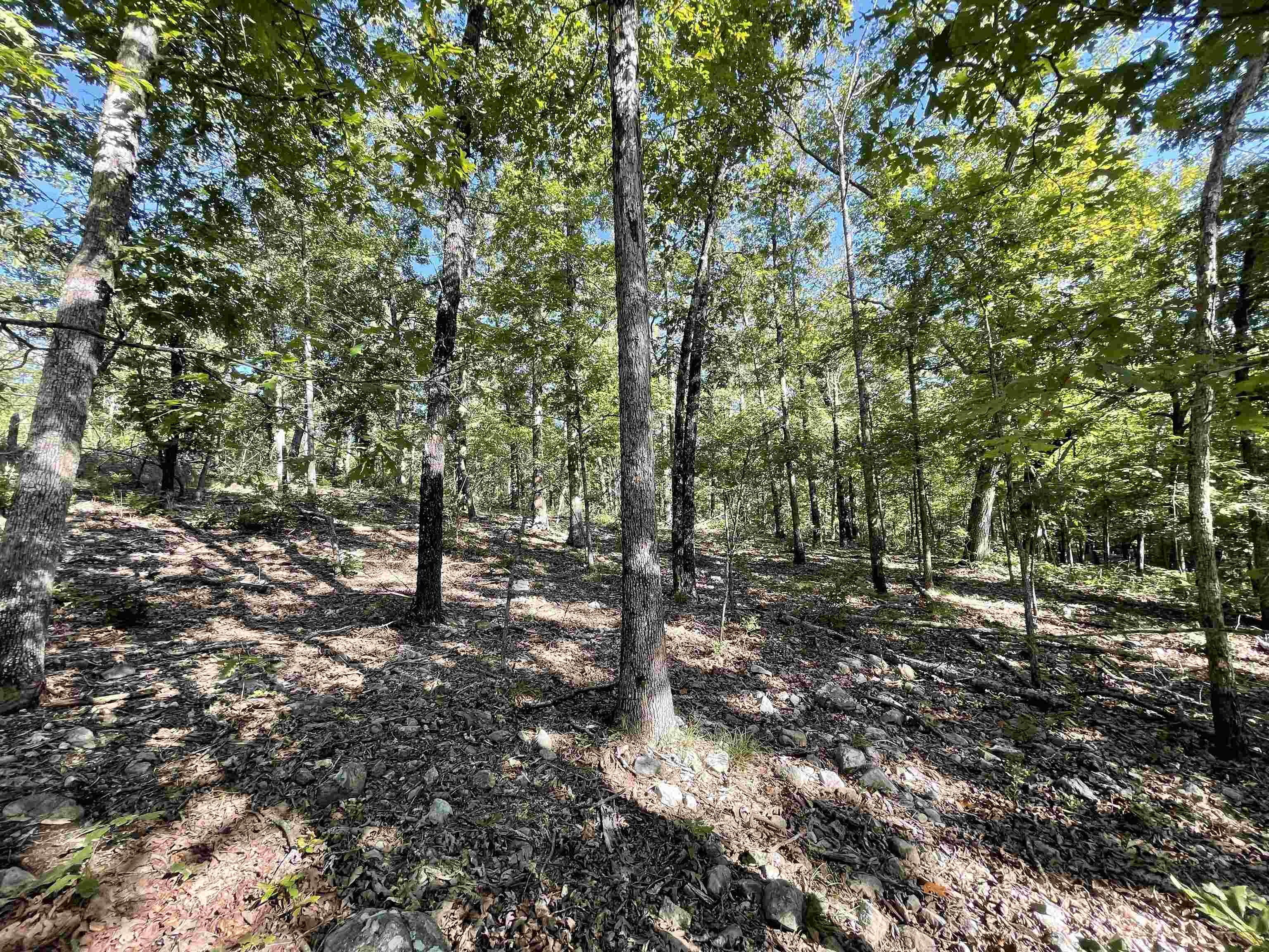 Metes & Bounds - Land