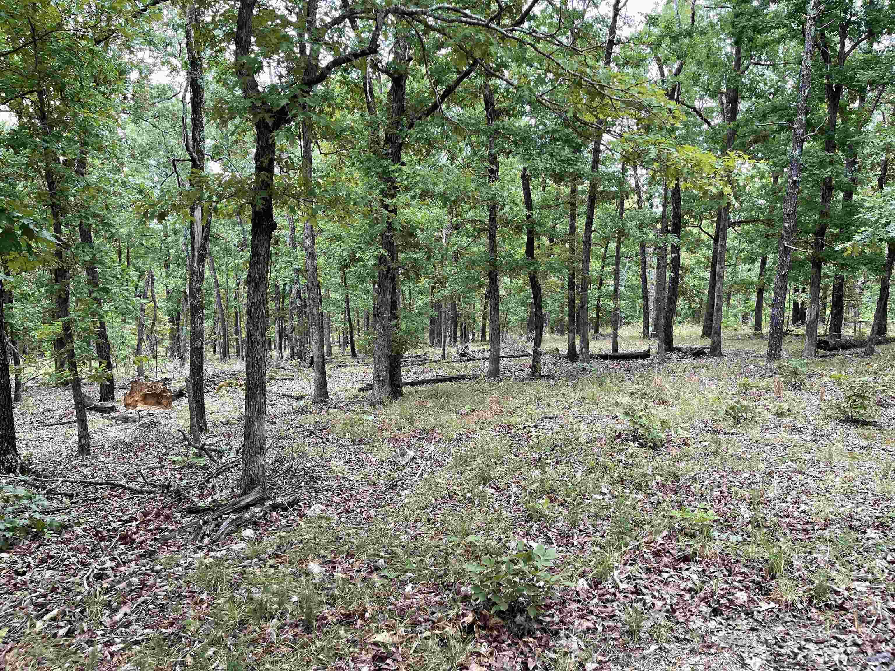 Metes & Bounds - Land