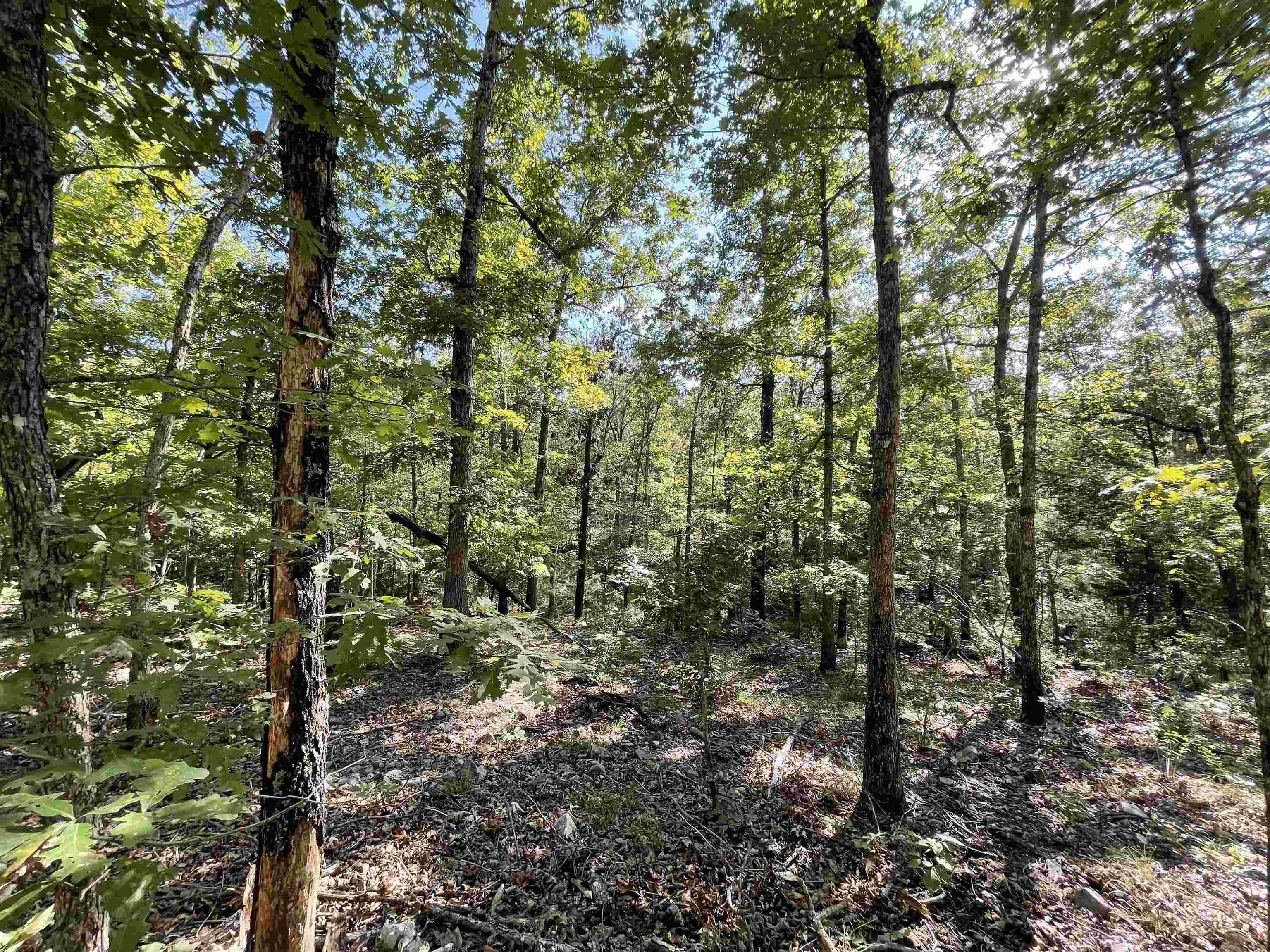 Metes & Bounds - Land