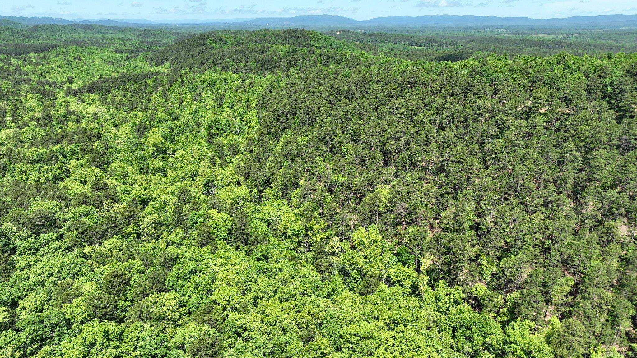 Nestled in the heart of the renowned Wolfpen ATV trails, this wooded 9.97-acre parcel offers the perfect blend of adventure and tranquility. Whether you're looking to build your dream getaway or simply park your RV, this property provides a versatile and scenic retreat. A peaceful creek runs through the land, and with no restrictions, the possibilities are endless—from a rustic cabin to a private camping escape. The terrain is mountain-like, rich with natural beauty and teeming with wildlife, offering a true back-to-nature experience. Additional adjoining lots are also available if you're looking to expand your slice of paradise. Taxes will need to be assessed after purchase due to subdivision of existing parcel.