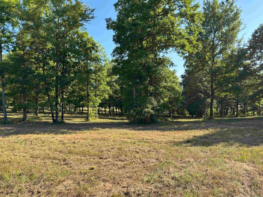 Natural gas, fiber optics and water available*lots of new houses being built*the final plat and covenants are under documents on the MLS*SHERIDAN SCHOOLS*convenient to Pine Bluff and White Hall.