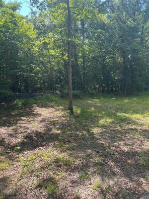 PEACEFUL HILLS RD, BONNERDALE, AR 71933 - Image 36de4dcedcbeb5cedad3a36d4c71b067/1545263416