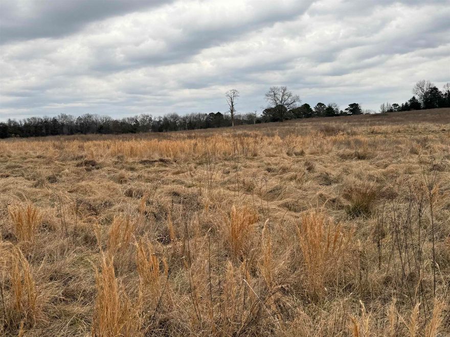 Gorgeous 40 acre tract m/l with endless possibilities!! Whether you are looking to build your dream home on a large tract or an investment idea!! This is could be the spot!! Check it out today!!