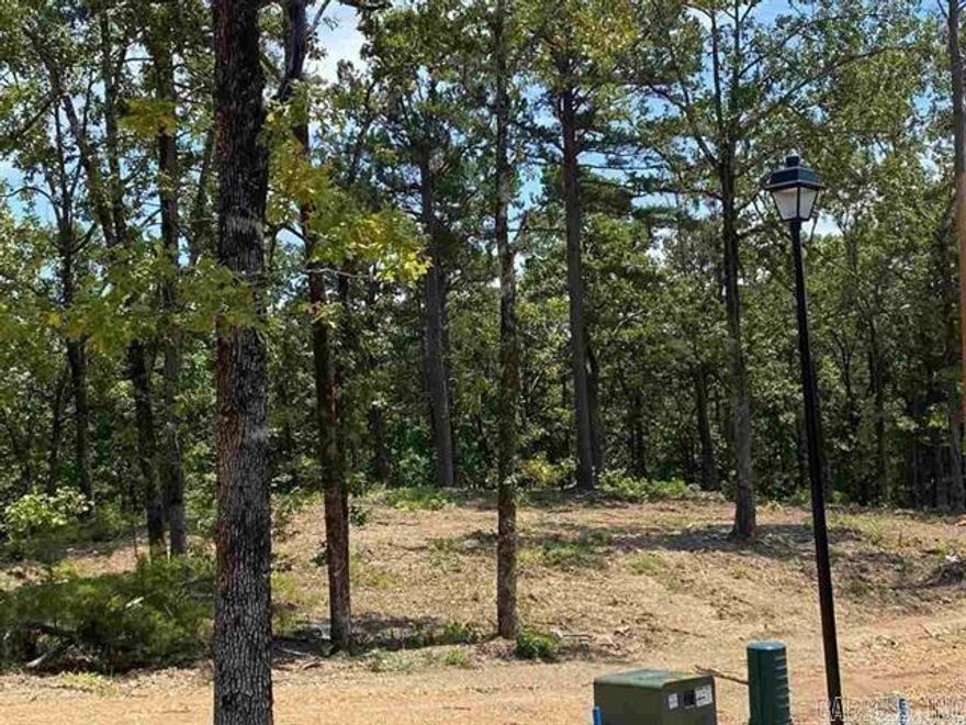 Don't miss this amazing lot, just under 2 acres, in Conway's newest subdivision, Orchard Hills on Round Mountain.  Build your forever dream home with plans and plot available to purchase or start from scratch.  Lots are going fast - don't miss out!