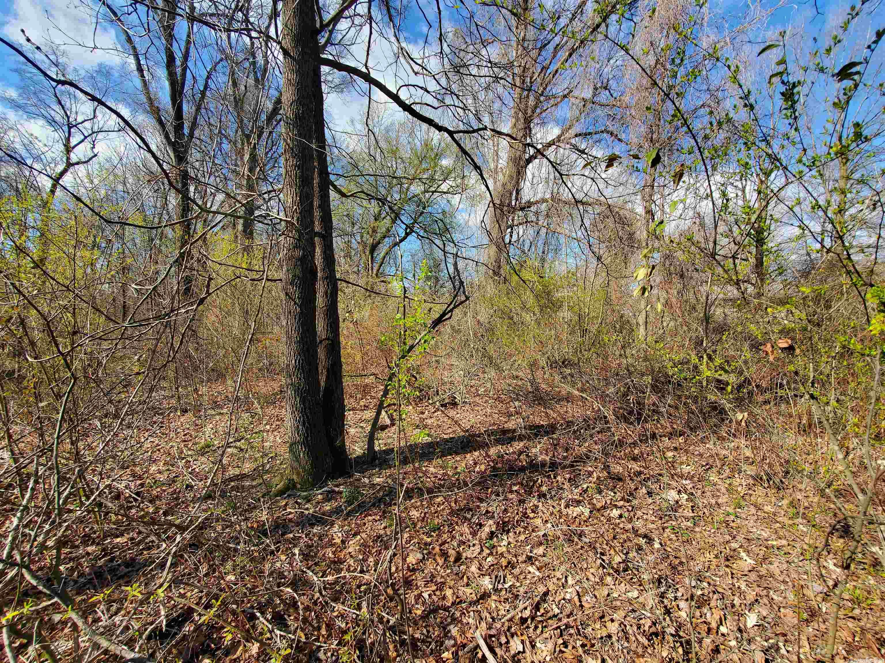 This slightly secluded property contains 2.35 acres of (currently) wooded ground alongside Cypress Creek Ditch. The property measures 285'x359' so there's plenty of space that with a little work could be a good location for a home, shop or even just a get-away spot. Access to the property boarders the Corning Water Plant at the end off Griggs Lane. The property is located between the homes on Griggs Lane and Cypress Creek Ditch.