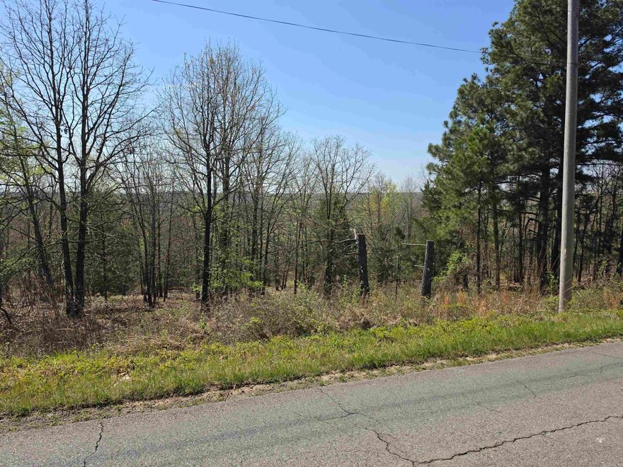Builders or Individuals looking for more privacy, here are 5 developed lots Fronting Fortson Rd.  With View.  Close to Vilonia, Cabot, or LRAFB.  City Water and Power on property.