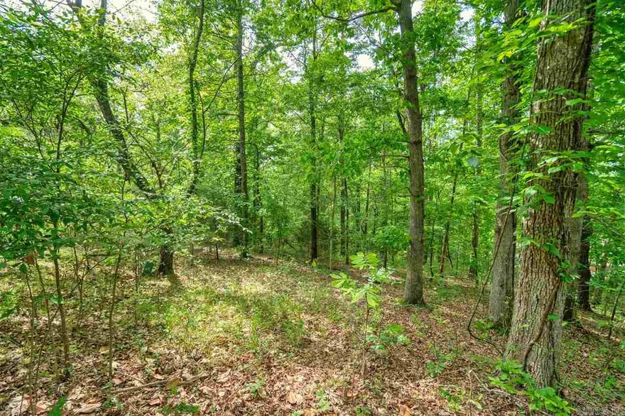 Rare find! This 1.25 acre lot is at the end of the cul-de-sac in a nice, quiet, established neighborhood. Which is conveniently located within walking distance to Hill Wheatley Park. All utilities are underground and already on the property. No clear cut lot here. You can clear enough room to build your dream home and you will still have plenty of mature trees to offer privacy from your neighbors.