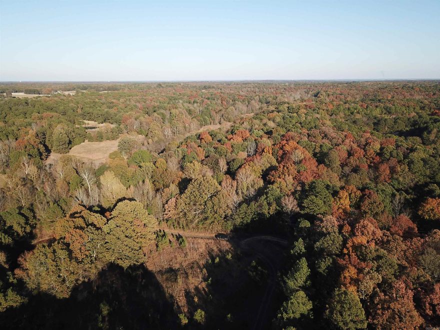 Exquisitely maintained farm with endless possibilities of opportunity. This property has been family owned for decades and rarely does a property of this caliber come up for sale in this area. It is located just minutes from Paragould and Jonesboro, AR. Yet far enough in the country to enjoy hunting, fishing, farming, and outdoor recreation - it also provides the perfect place to build a beautiful rural home on acreage. It has a mix of topography ranging from over 25+/- acres of flat fertile fields for hay or crops. Rolling hills of hardwood ridges with mature timber. Wet weather creek runs through the middle of the property. Thick cover areas are great for wildlife nesting and bedding. This property currently has a hunting lease in place as well as hay production generating income. Several ponds are located on the property as well. The internal road system makes navigating the entire property a breeze. With gravel road frontage and nearby utilities on the south end of the property, you could build a beautiful home overlooking your acreage. This property is a must-see for yourself and rarely do they become available on the market.