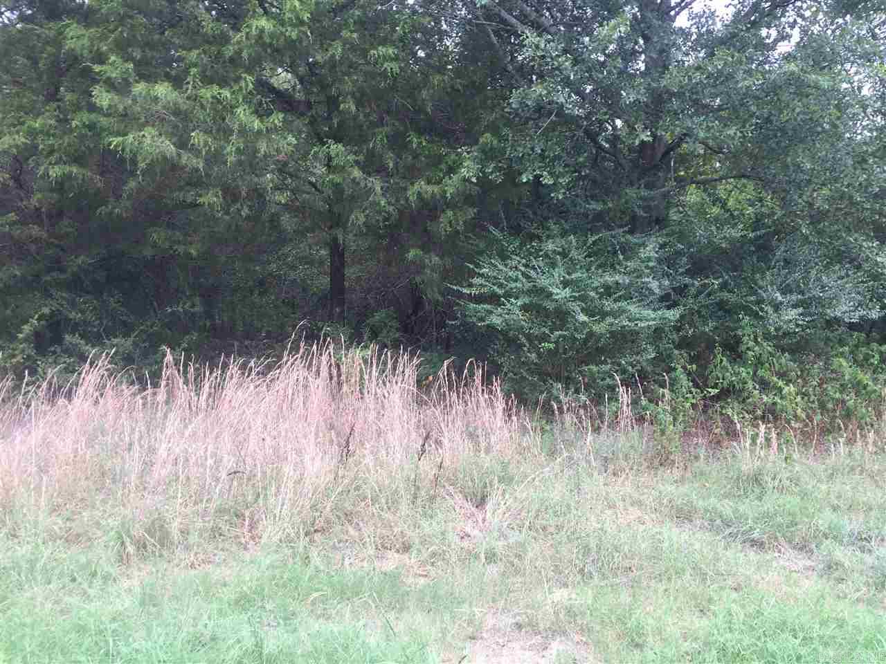 GREAT HUNTING property if you like deer and turkey. This connects up to a 160 acre hunting club. Great place for a cabin. Wooded lot with city water and privacy. Has a creek at the west side