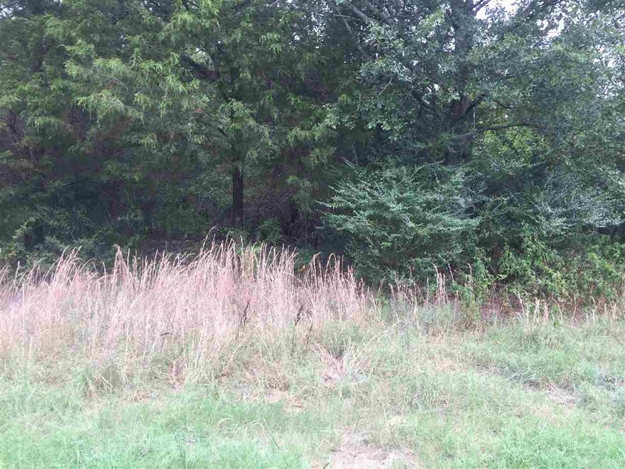 GREAT HUNTING property if you like deer and turkey. This connects  up to a 160 acre hunting club. Great place for a cabin.  Wooded lot with city water and privacy. Has a creek at the west side