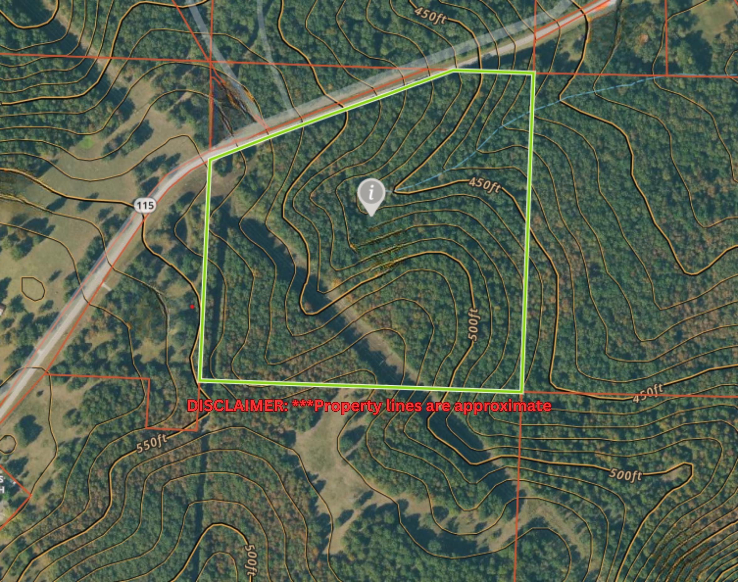 32 +/- acres of wooded land with highway frontage on Hwy 115. Outstanding opportunity for a home site or hunting property.