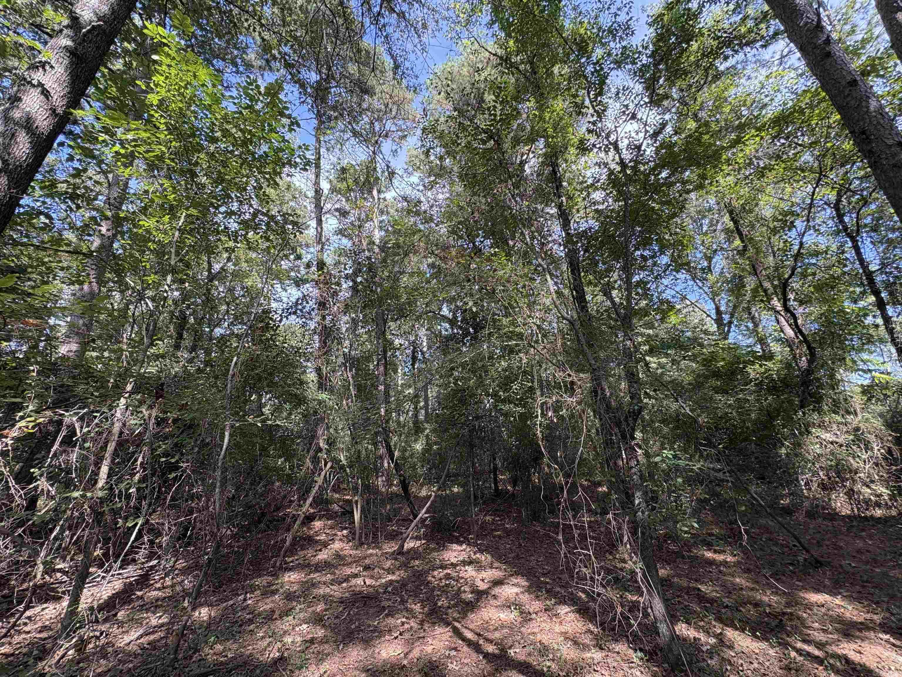 Margie Estates - Land