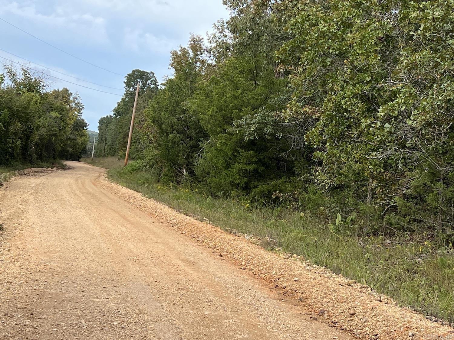 ACREAGE/RECREATIONAL/HOMESITES 15.58 Acres all woodland with 2 deer stands already in place. Various types of oak timber, driveway into the property for a good homesite. There is long county road frontage to give plenty of privacy from neighbors on each side. Electric lines run along the road on the property side for access to electric. Bring your Tent, RV or Camper enjoy the Ozark nature until you occupy it permanently. Offered @ $50,000.