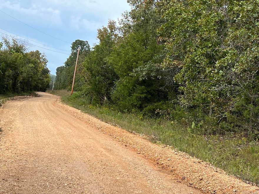 ACREAGE/RECREATIONAL/HOMESITES 15.58 Acres all woodland with 2 deer stands already in place. Various types of oak timber, driveway into the property for a good homesite. There is long county road frontage to give plenty of privacy from neighbors on each side. Electric lines run along the road on the property side for access to electric. Bring your Tent, RV or Camper enjoy the Ozark nature until you occupy it permanently. Offered @ $50,000.