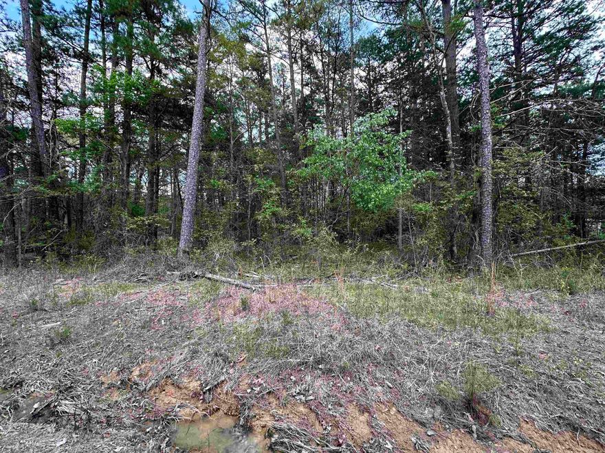 Nice wooded lot on a paved road close to the lake and Narrows Park.