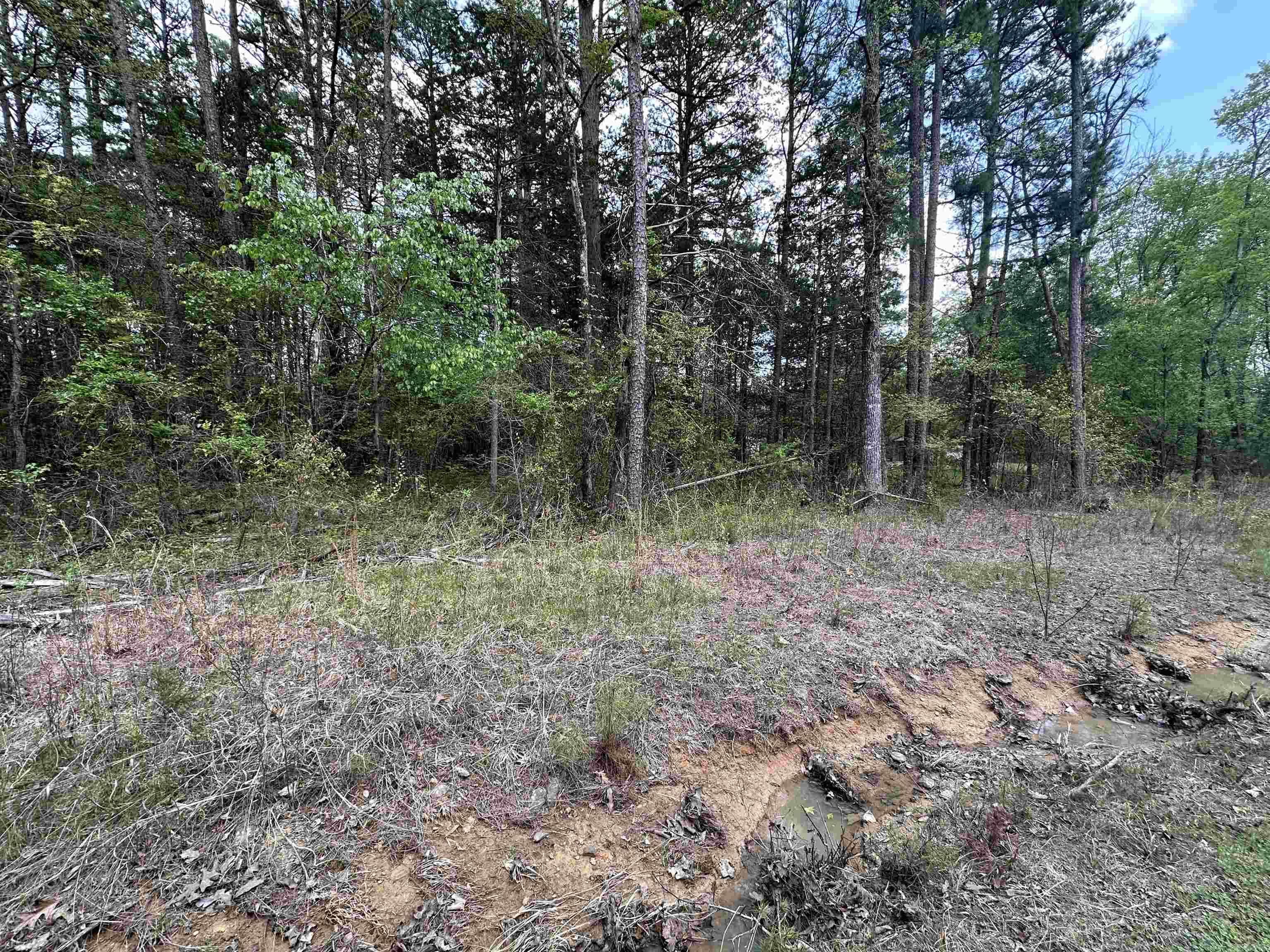 Pine Hills Estates - Land