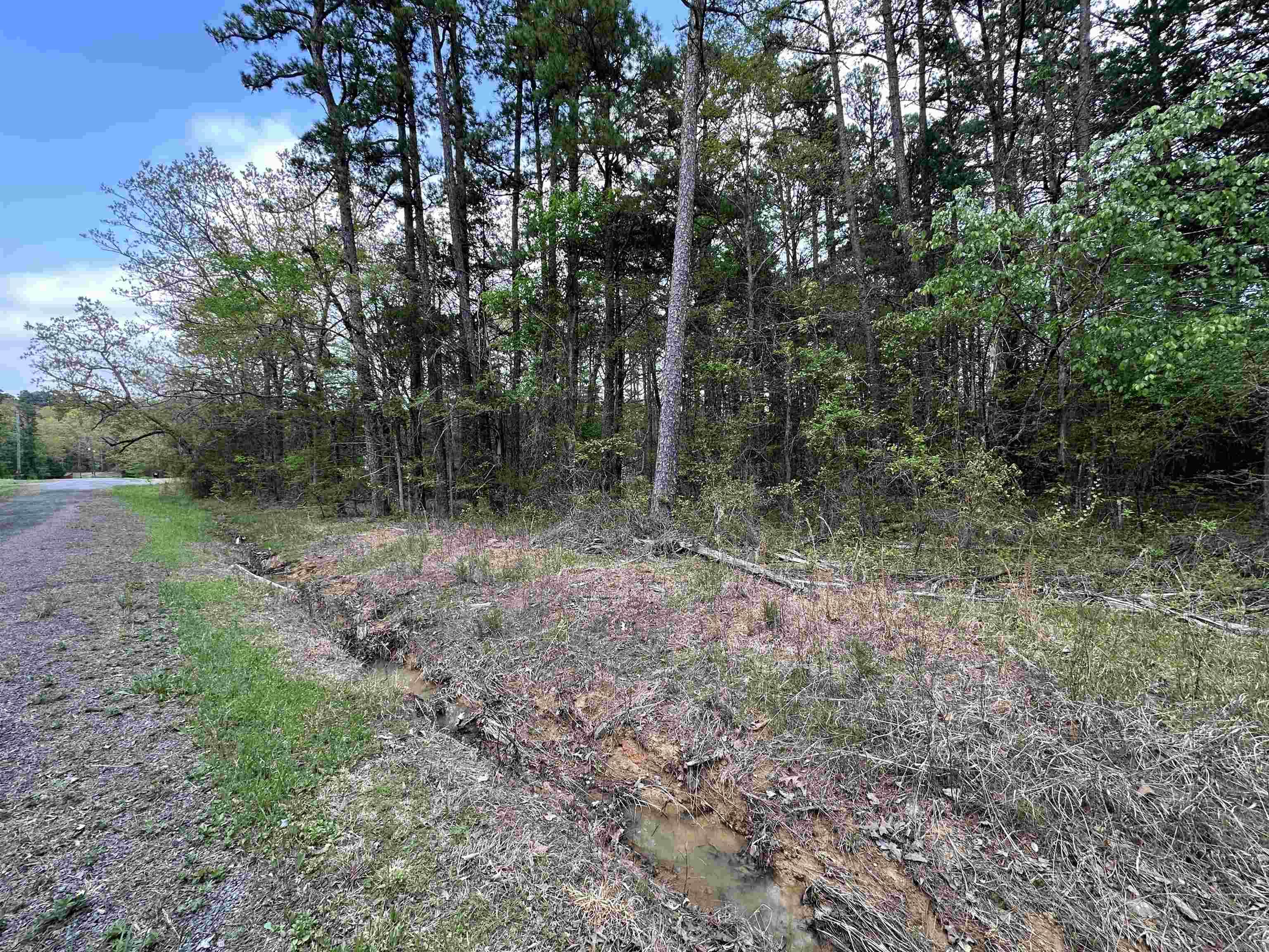 Pine Hills Estates - Land