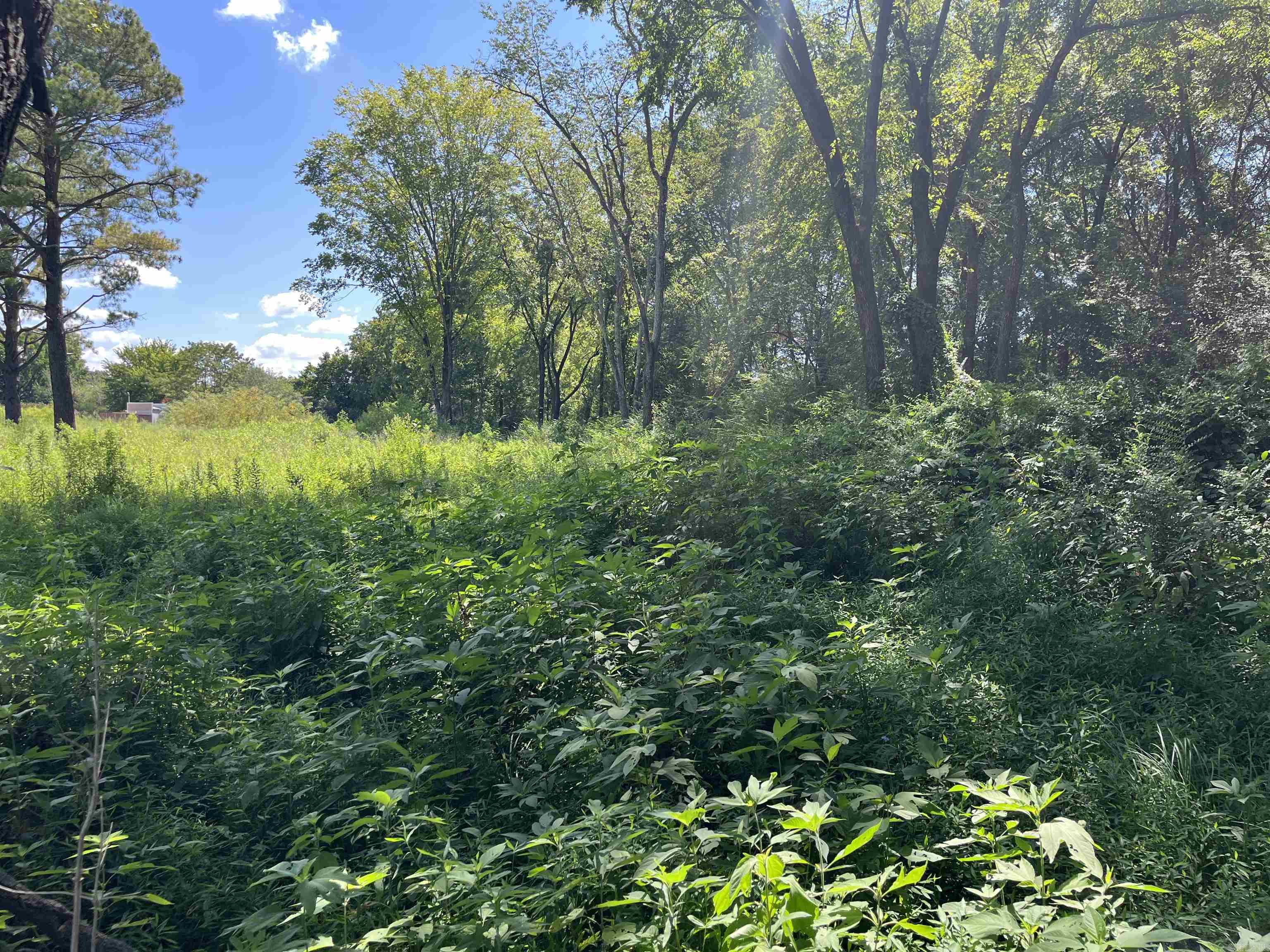 Rose Bud Outlots - Land