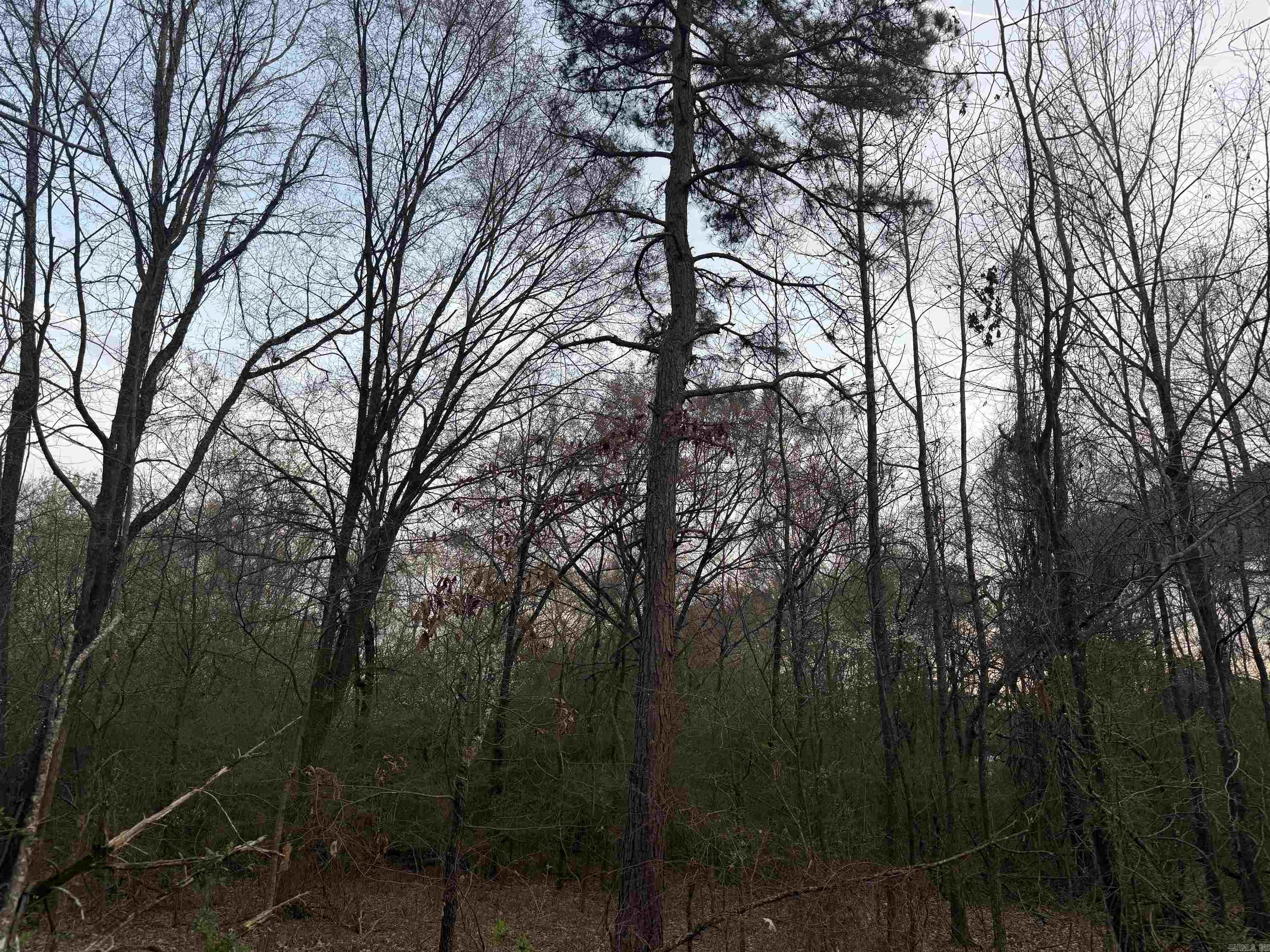 Not in Subdivision - Land