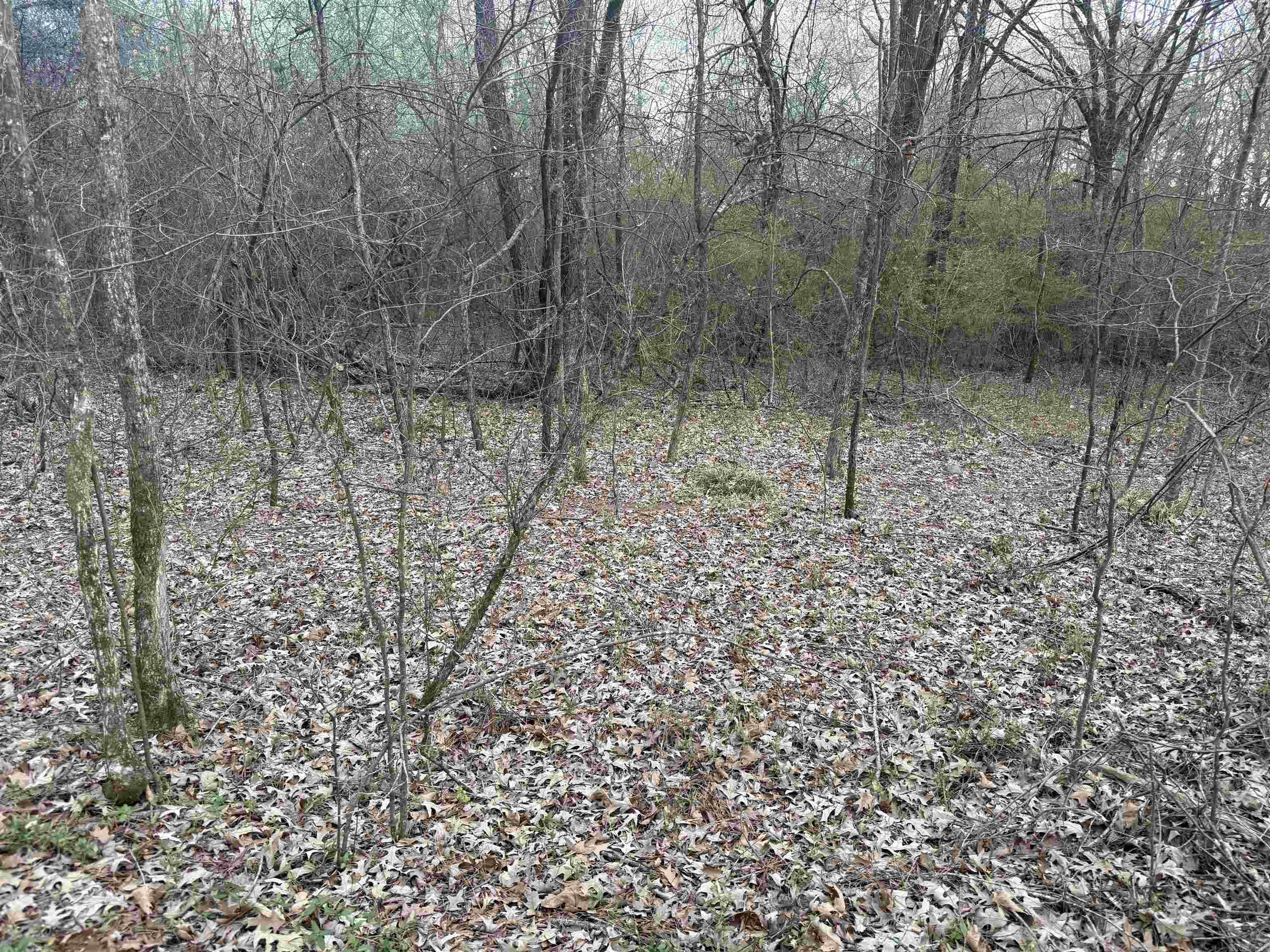 Not in Subdivision - Land