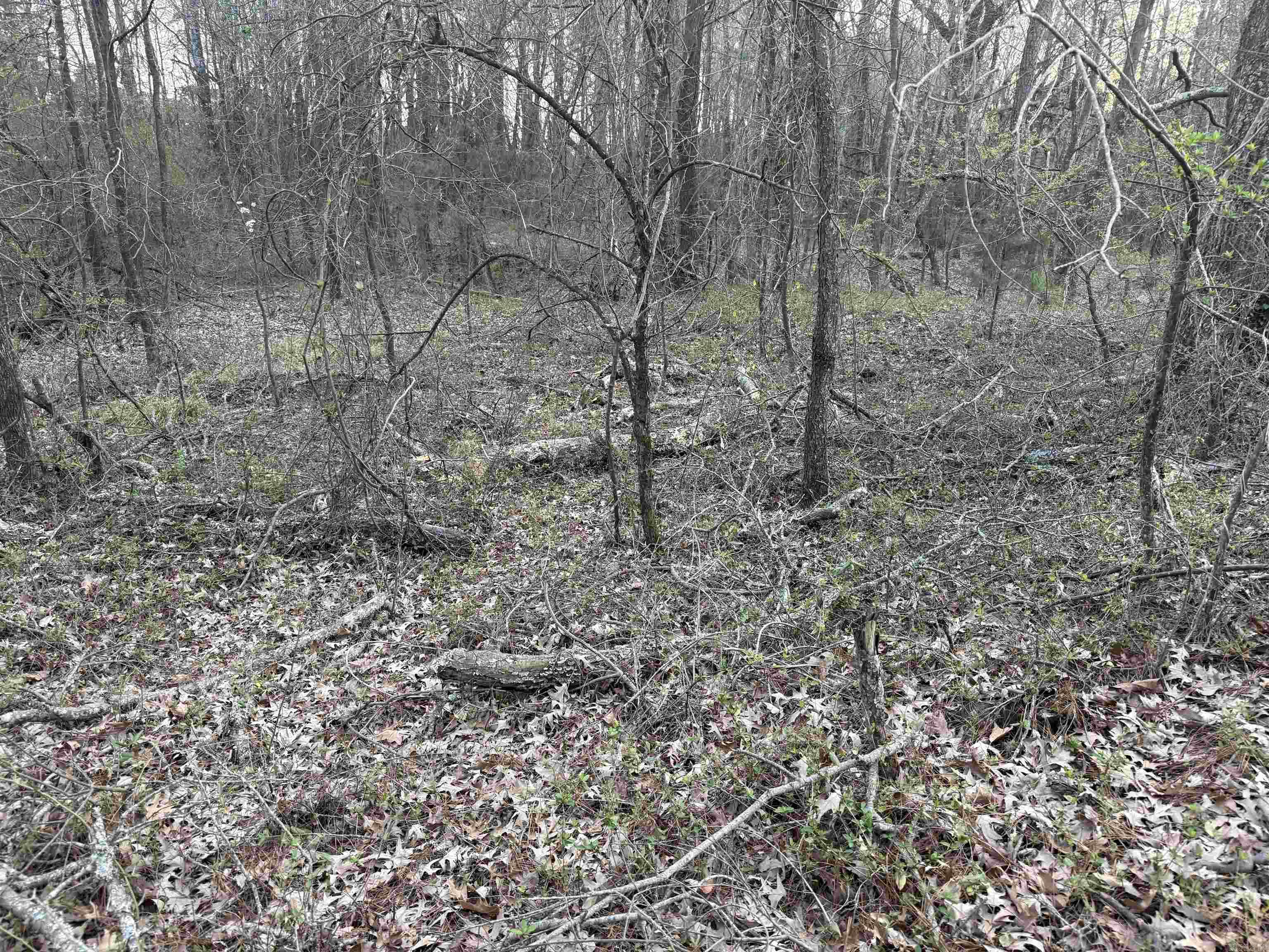 Not in Subdivision - Land