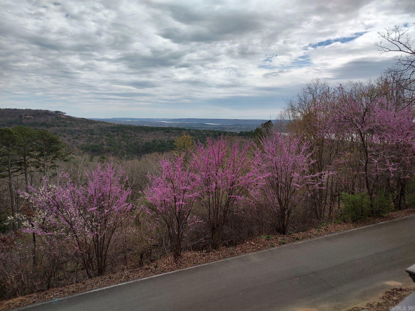 CLIFFSIDE LODGE - Residential