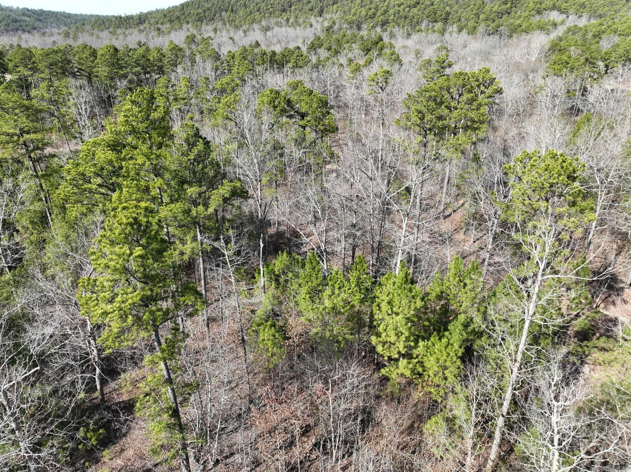 Big Fork Area - Land