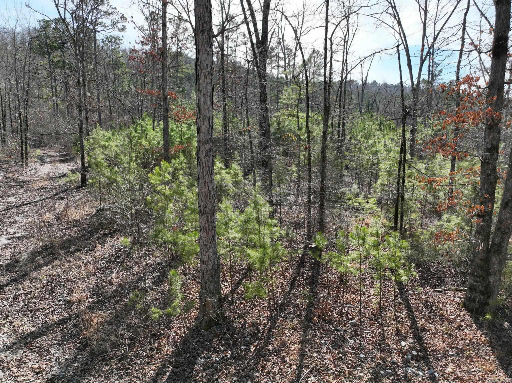 Big Fork Area - Land