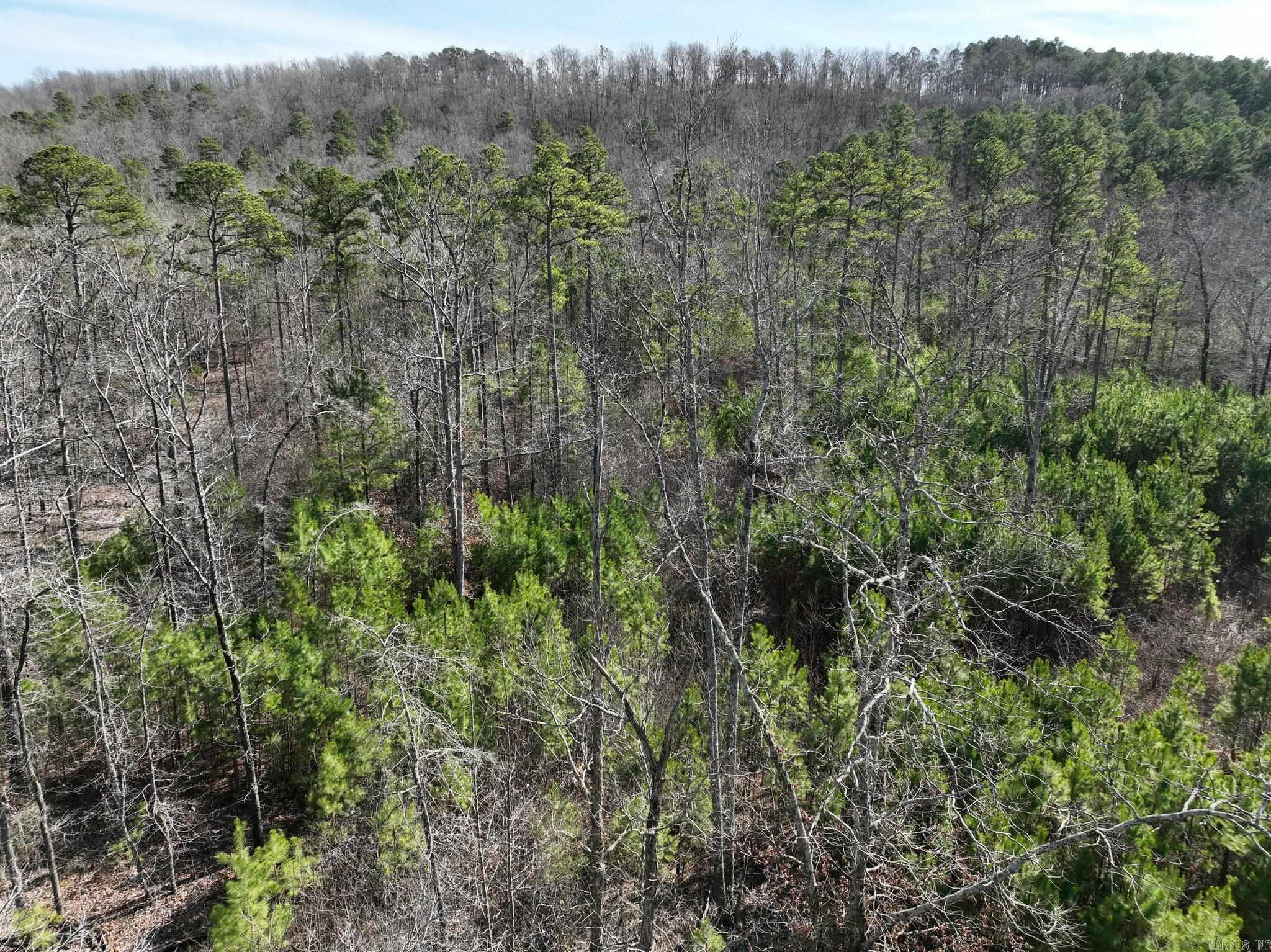 Big Fork Area - Land