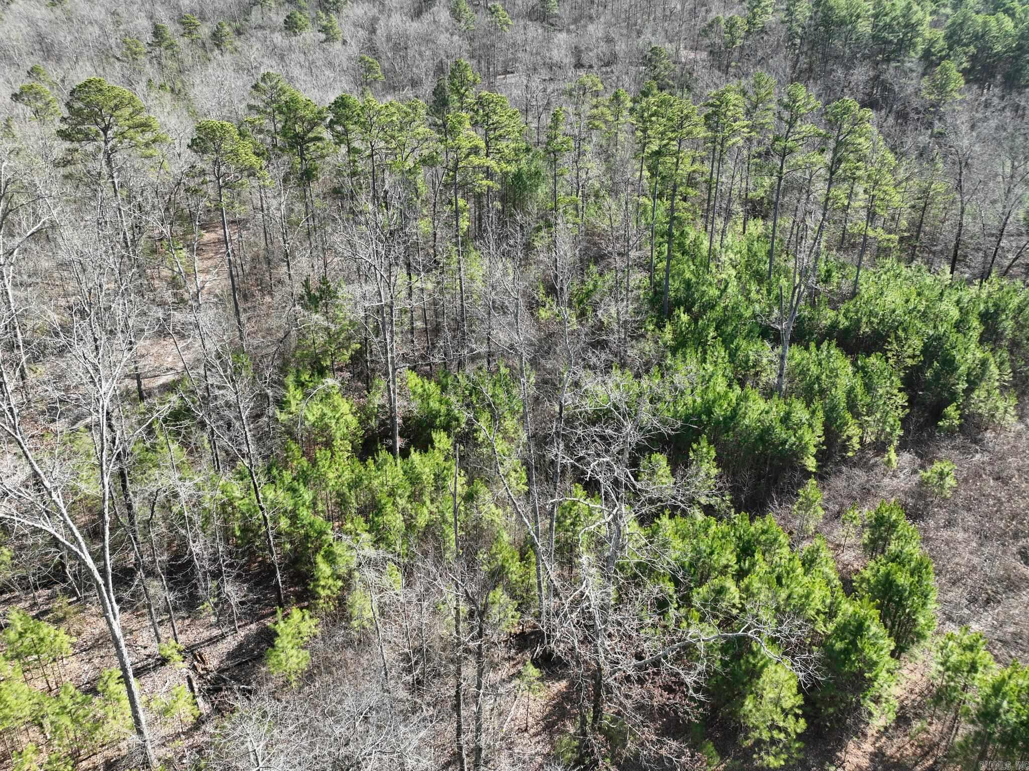 Big Fork Area - Land