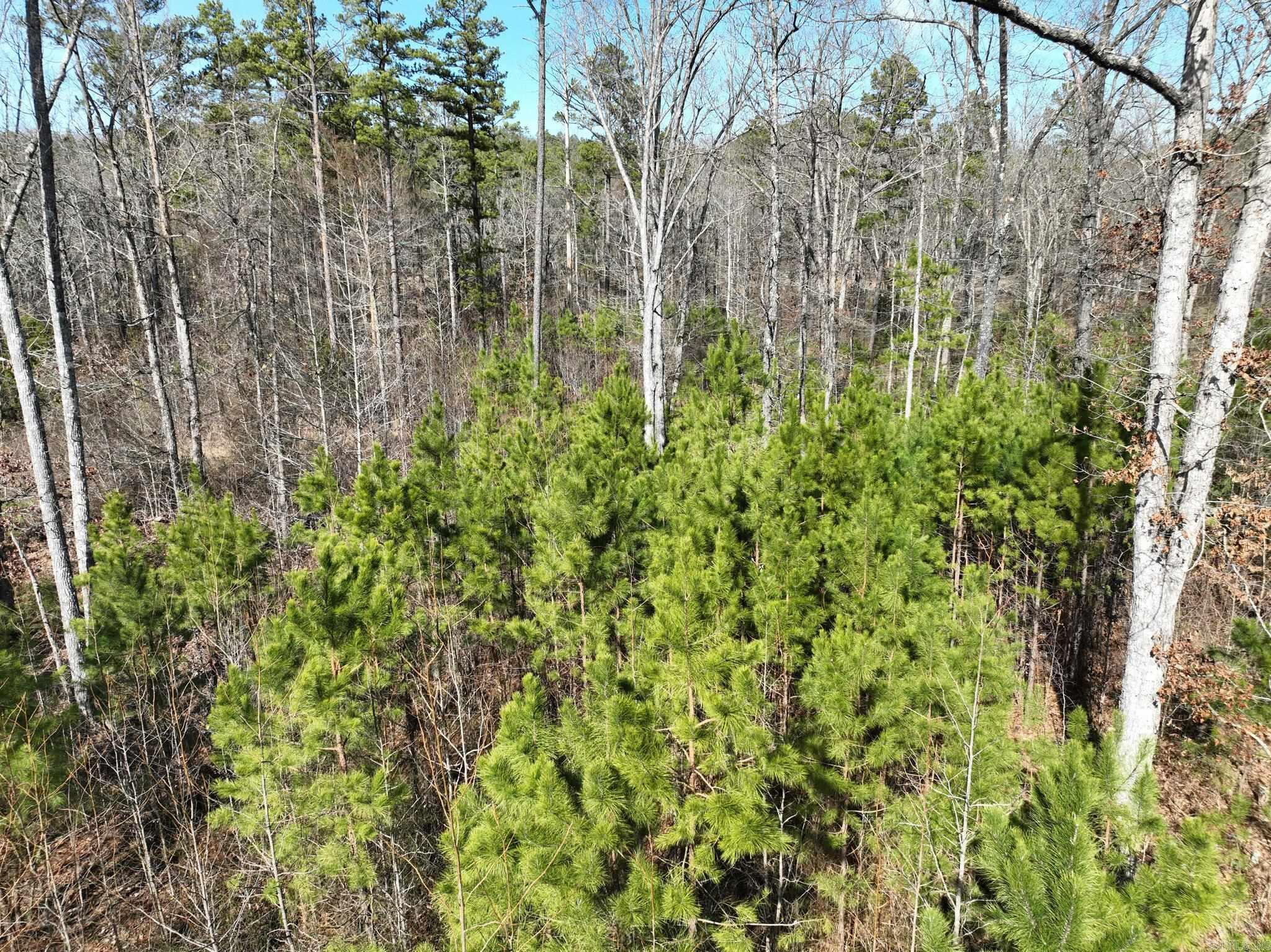 Big Fork Area - Land