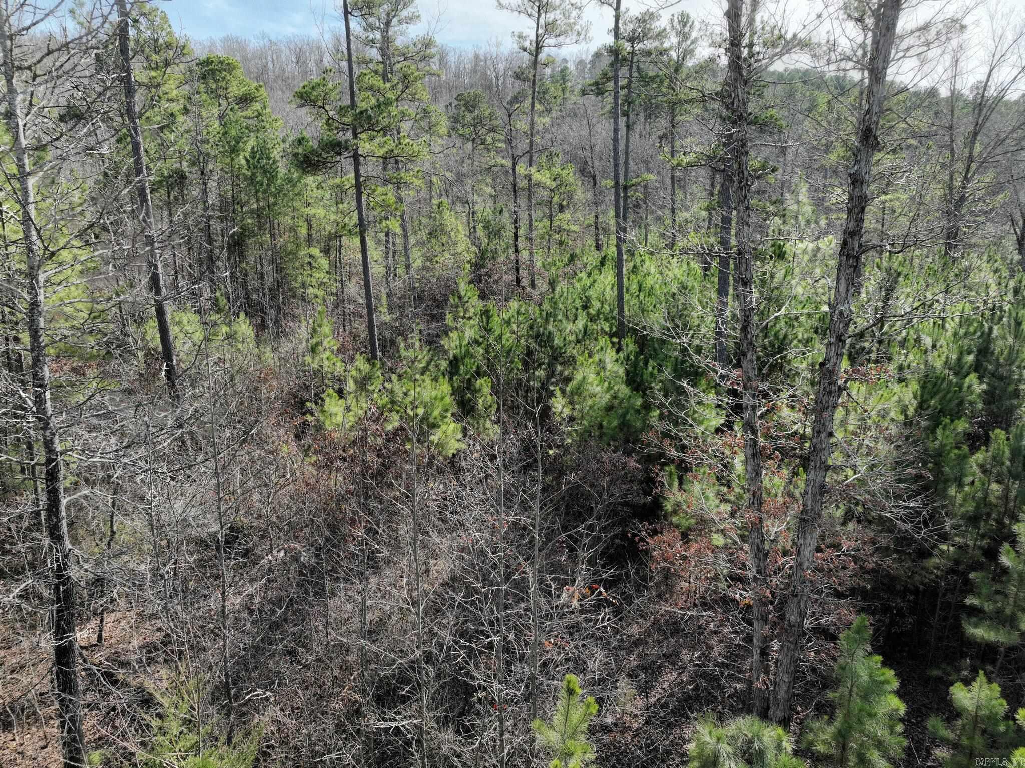 Big Fork Area - Land