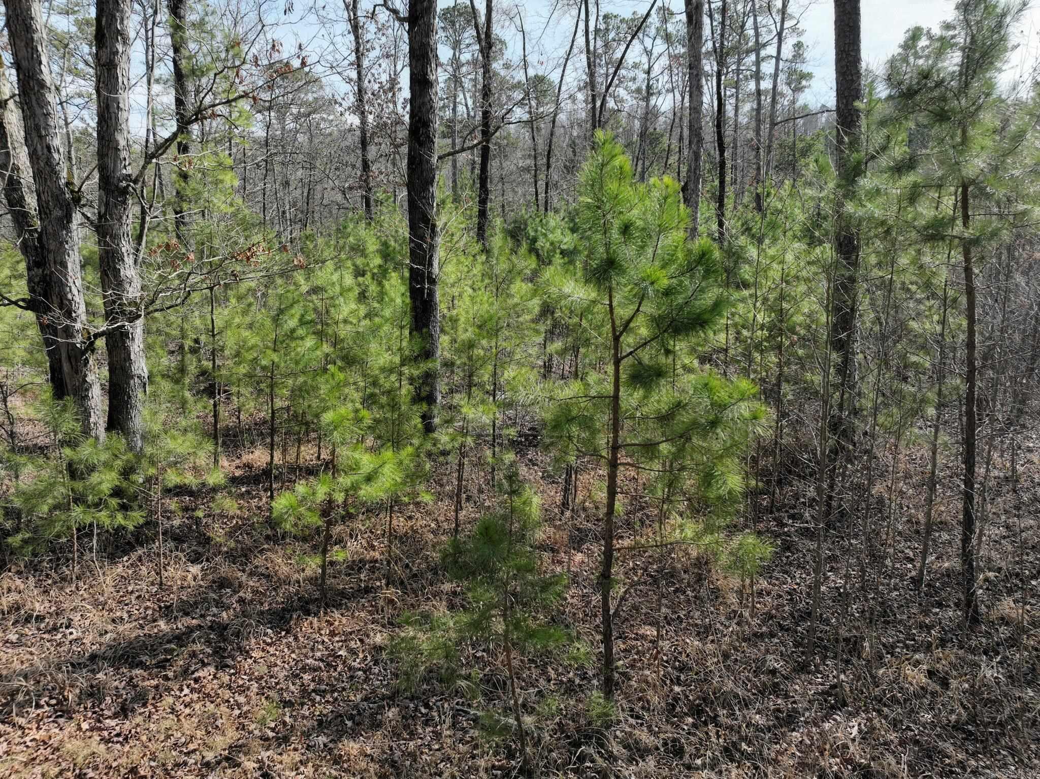 Big Fork Area - Land